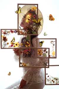 Acceptance Image