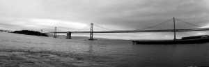 Bay Bridge In San Francisco 1062