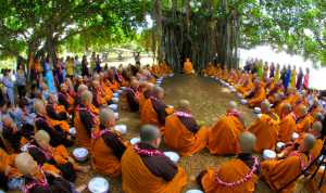 Lesson Under A Tree Shadow