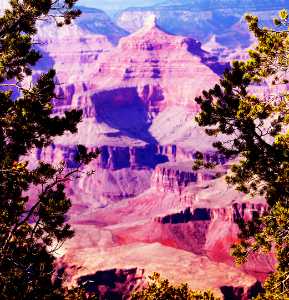 Grand Canyon 6431A
